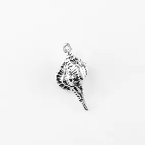 Conch Shell