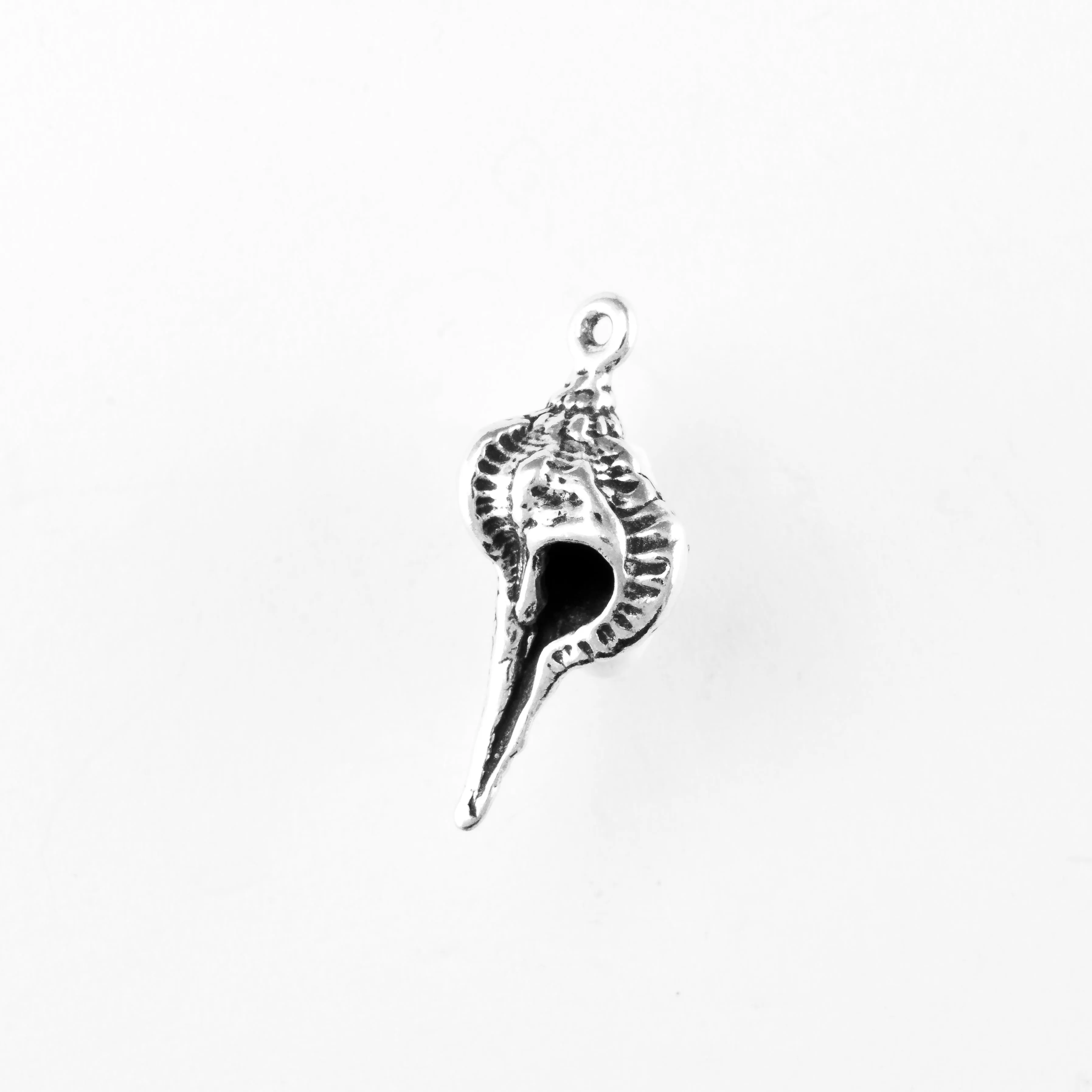 Conch Shell
